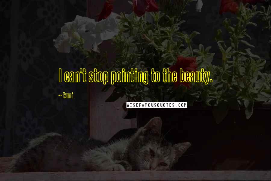 Rumi Quotes: I can't stop pointing to the beauty.