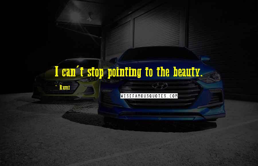 Rumi Quotes: I can't stop pointing to the beauty.