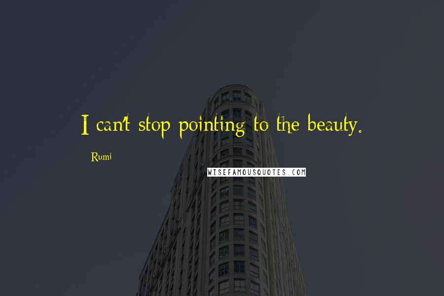 Rumi Quotes: I can't stop pointing to the beauty.