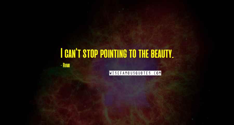 Rumi Quotes: I can't stop pointing to the beauty.