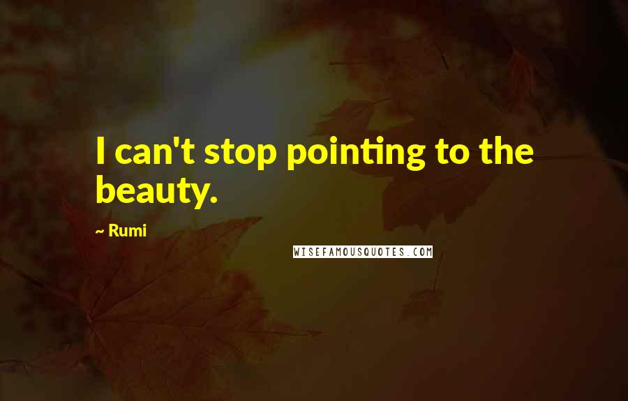 Rumi Quotes: I can't stop pointing to the beauty.