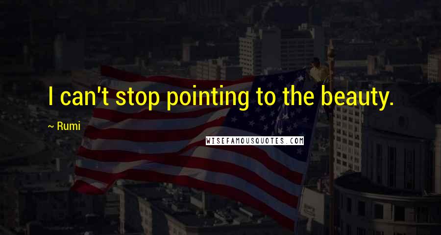 Rumi Quotes: I can't stop pointing to the beauty.