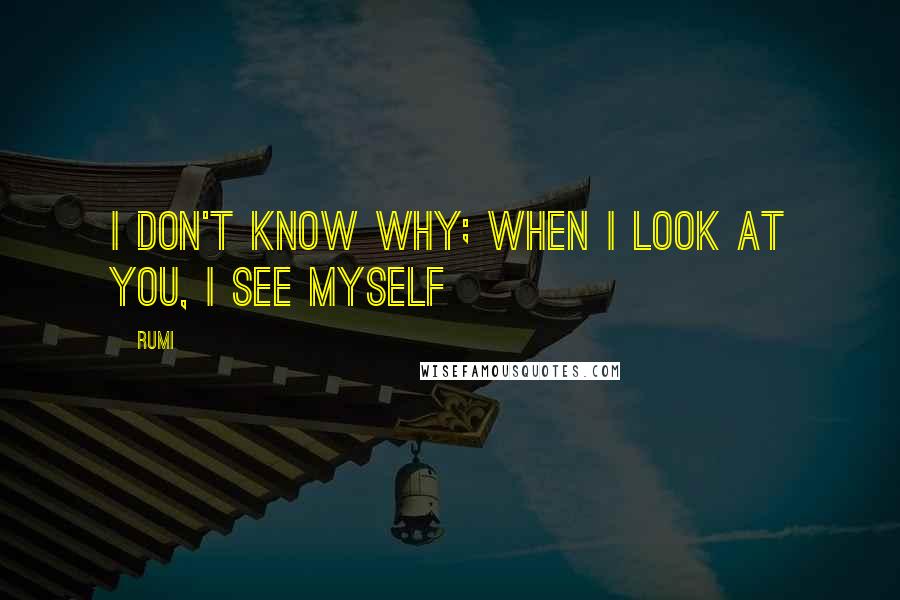 Rumi Quotes: I don't know why; when I look at you, I see myself