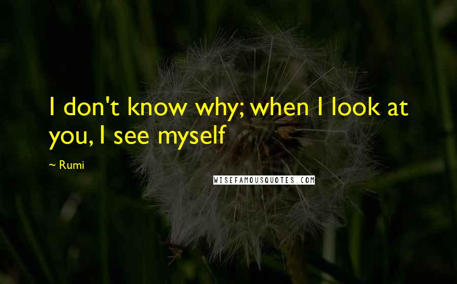 Rumi Quotes: I don't know why; when I look at you, I see myself