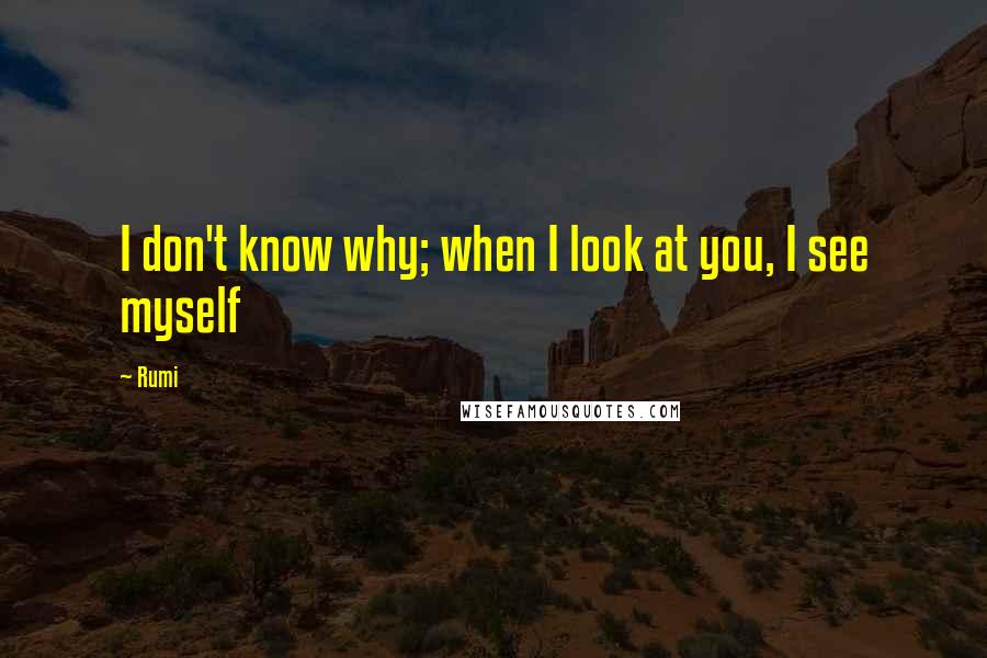 Rumi Quotes: I don't know why; when I look at you, I see myself