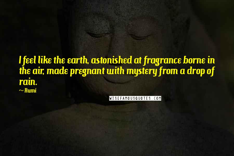 Rumi Quotes: I feel like the earth, astonished at fragrance borne in the air, made pregnant with mystery from a drop of rain.