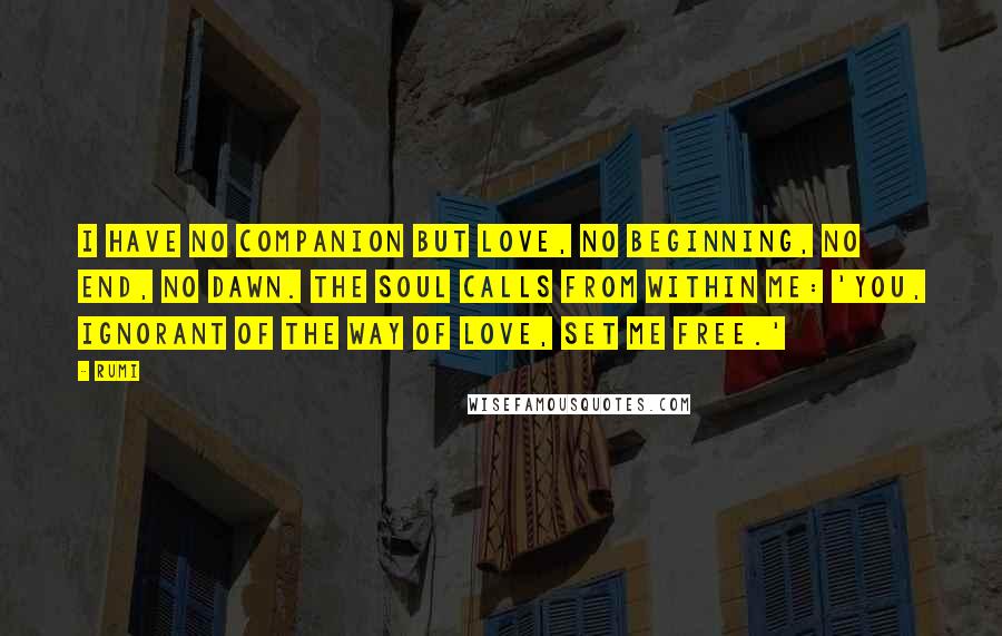 Rumi Quotes: I have no companion but Love, no beginning, no end, no dawn. The Soul calls from within me: 'You, ignorant of the way of Love, set Me free.'