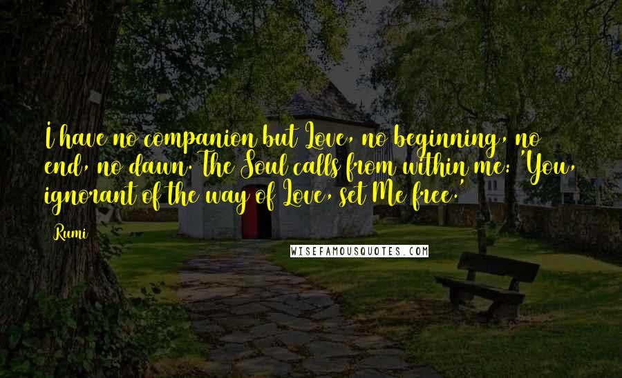 Rumi Quotes: I have no companion but Love, no beginning, no end, no dawn. The Soul calls from within me: 'You, ignorant of the way of Love, set Me free.'
