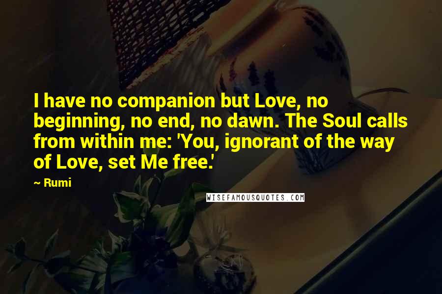 Rumi Quotes: I have no companion but Love, no beginning, no end, no dawn. The Soul calls from within me: 'You, ignorant of the way of Love, set Me free.'