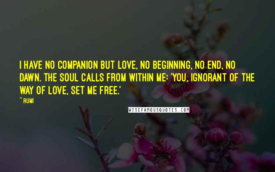 Rumi Quotes: I have no companion but Love, no beginning, no end, no dawn. The Soul calls from within me: 'You, ignorant of the way of Love, set Me free.'