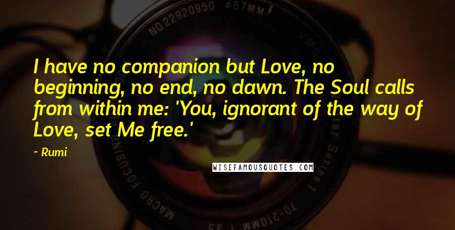 Rumi Quotes: I have no companion but Love, no beginning, no end, no dawn. The Soul calls from within me: 'You, ignorant of the way of Love, set Me free.'