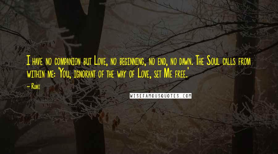 Rumi Quotes: I have no companion but Love, no beginning, no end, no dawn. The Soul calls from within me: 'You, ignorant of the way of Love, set Me free.'
