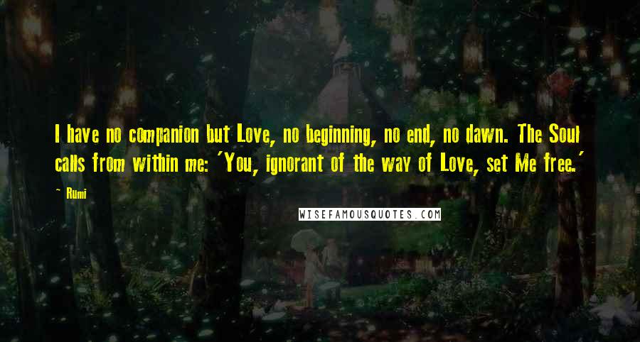 Rumi Quotes: I have no companion but Love, no beginning, no end, no dawn. The Soul calls from within me: 'You, ignorant of the way of Love, set Me free.'