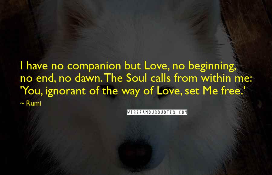 Rumi Quotes: I have no companion but Love, no beginning, no end, no dawn. The Soul calls from within me: 'You, ignorant of the way of Love, set Me free.'
