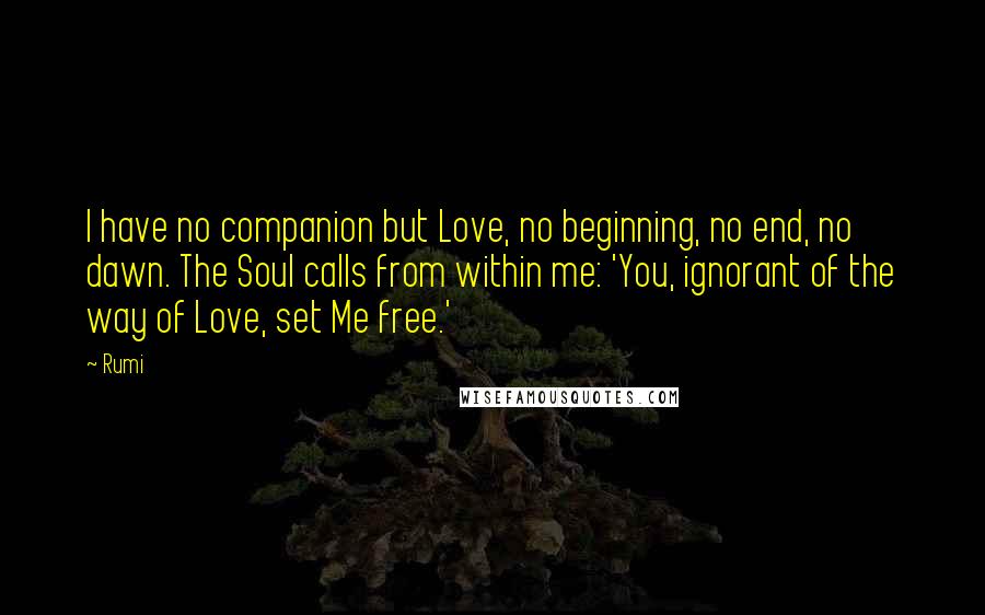Rumi Quotes: I have no companion but Love, no beginning, no end, no dawn. The Soul calls from within me: 'You, ignorant of the way of Love, set Me free.'