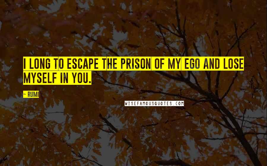 Rumi Quotes: I long to escape the prison of my ego and lose myself in You.