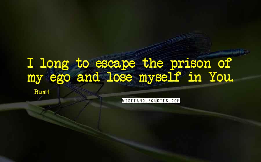 Rumi Quotes: I long to escape the prison of my ego and lose myself in You.
