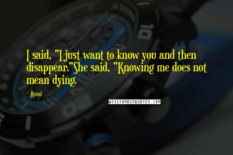 Rumi Quotes: I said, "I just want to know you and then disappear."She said, "Knowing me does not mean dying.