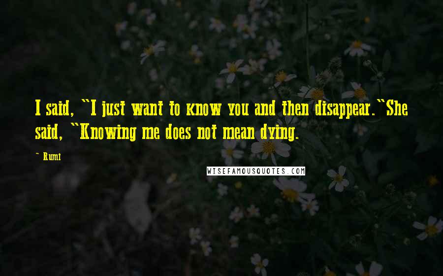 Rumi Quotes: I said, "I just want to know you and then disappear."She said, "Knowing me does not mean dying.