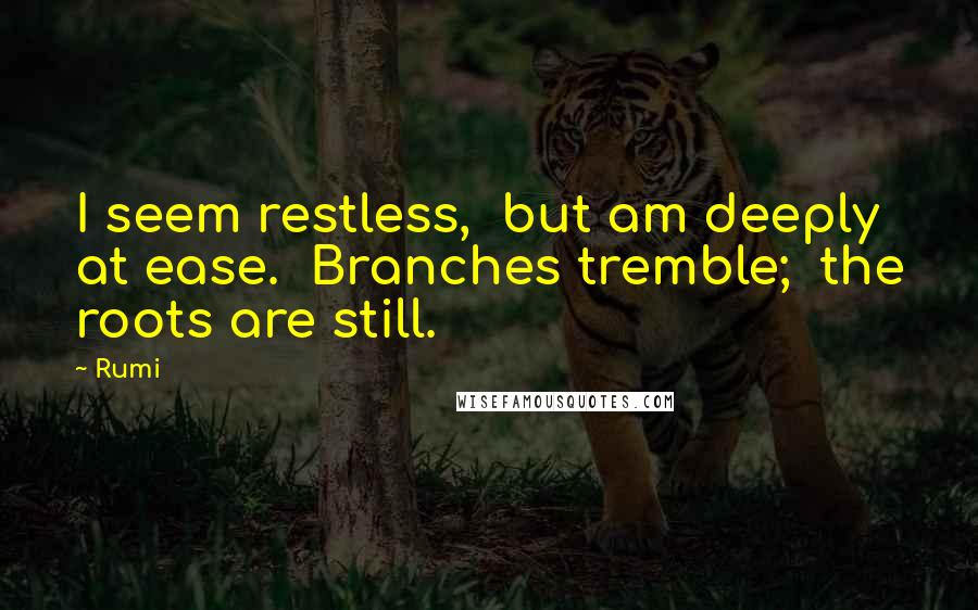 Rumi Quotes: I seem restless,  but am deeply at ease.  Branches tremble;  the roots are still.