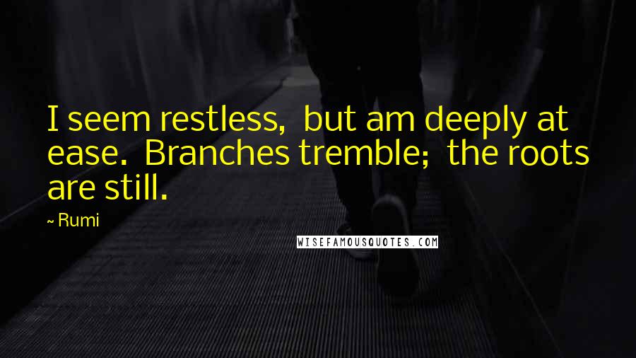 Rumi Quotes: I seem restless,  but am deeply at ease.  Branches tremble;  the roots are still.