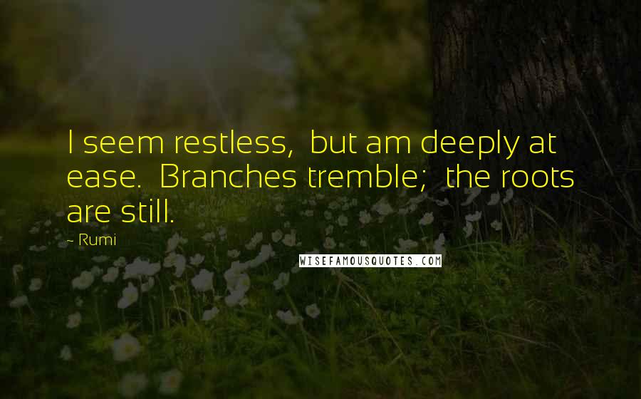 Rumi Quotes: I seem restless,  but am deeply at ease.  Branches tremble;  the roots are still.