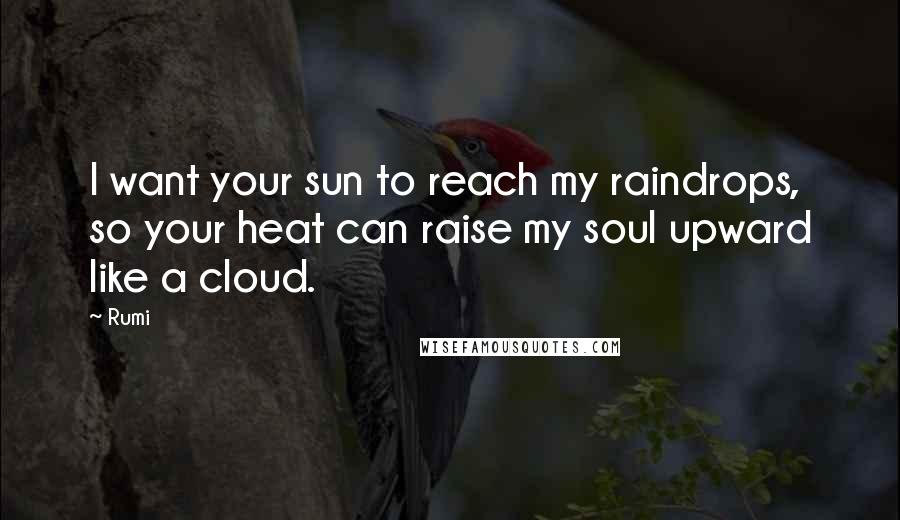Rumi Quotes: I want your sun to reach my raindrops, so your heat can raise my soul upward like a cloud.