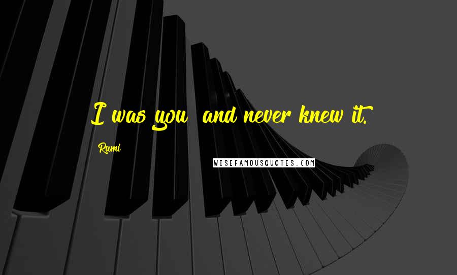 Rumi Quotes: I was you and never knew it.