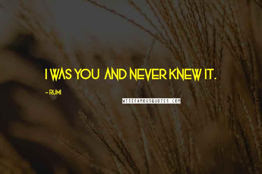 Rumi Quotes: I was you and never knew it.