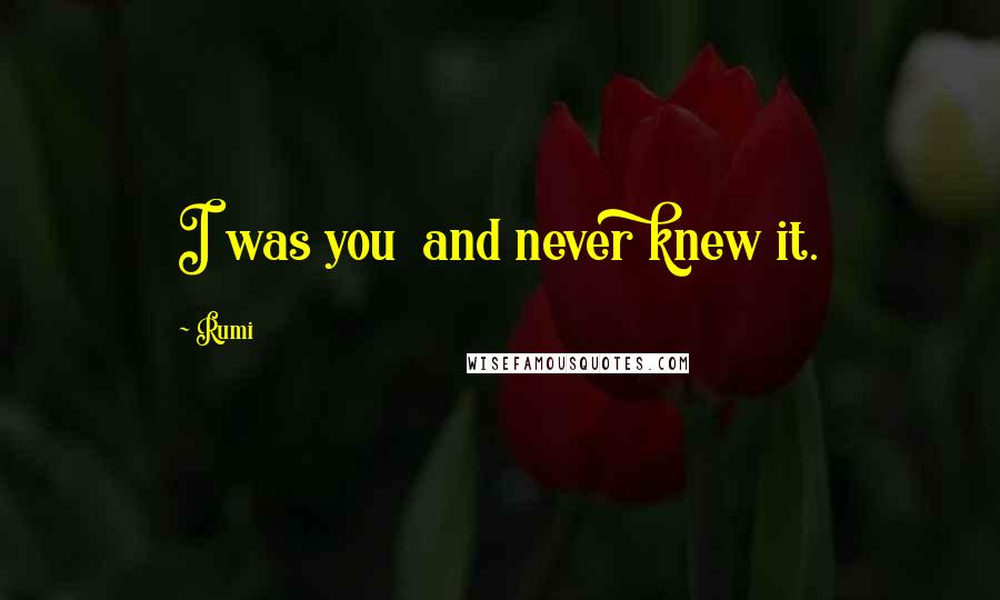 Rumi Quotes: I was you and never knew it.