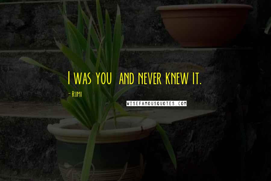 Rumi Quotes: I was you and never knew it.
