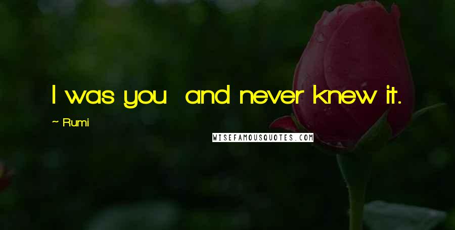 Rumi Quotes: I was you and never knew it.