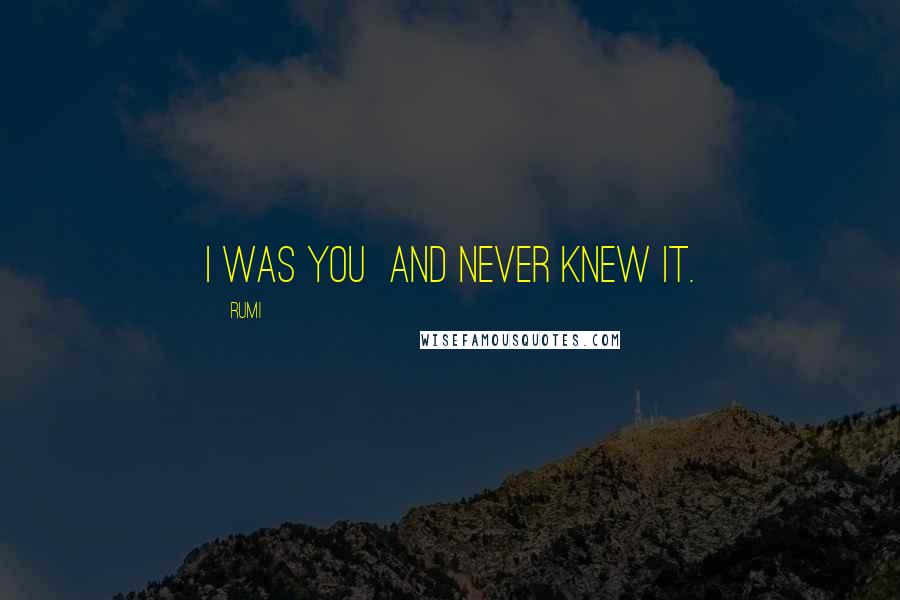 Rumi Quotes: I was you and never knew it.