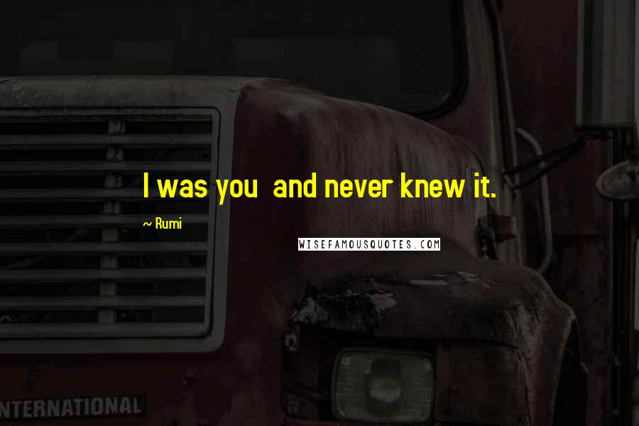 Rumi Quotes: I was you and never knew it.