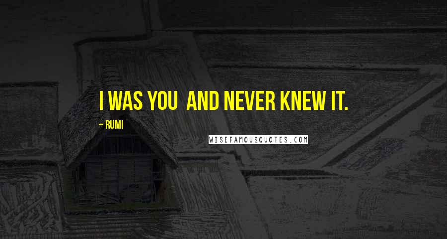 Rumi Quotes: I was you and never knew it.