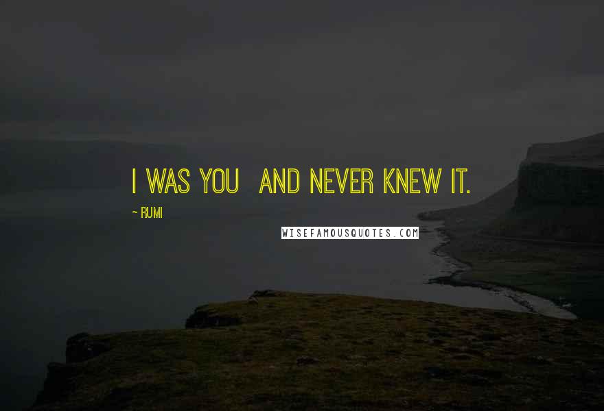 Rumi Quotes: I was you and never knew it.