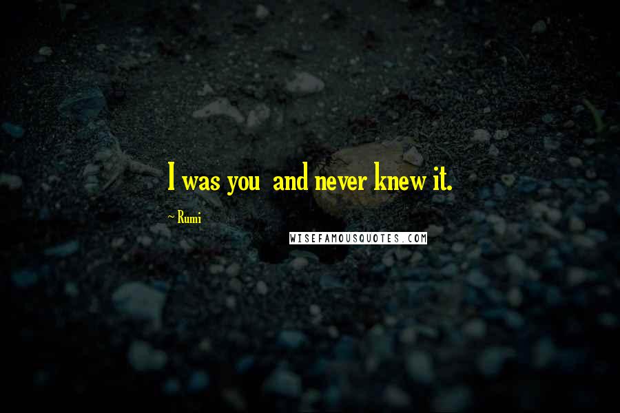 Rumi Quotes: I was you and never knew it.