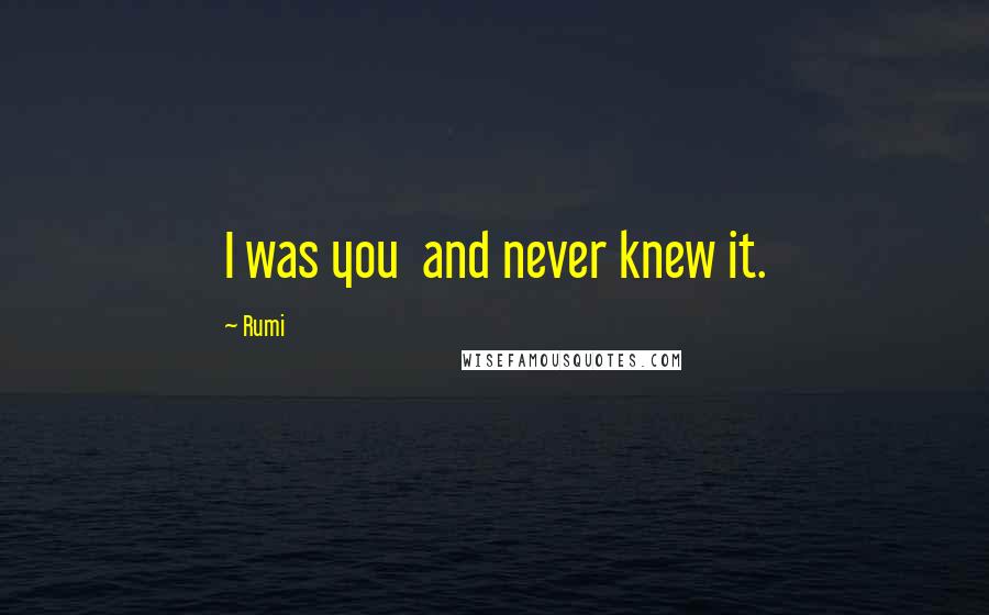 Rumi Quotes: I was you and never knew it.