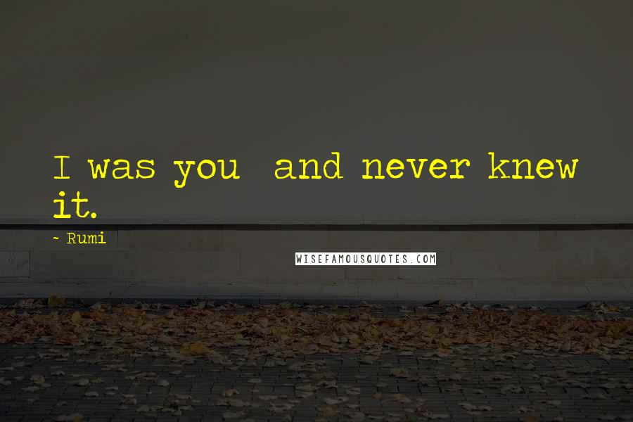Rumi Quotes: I was you and never knew it.