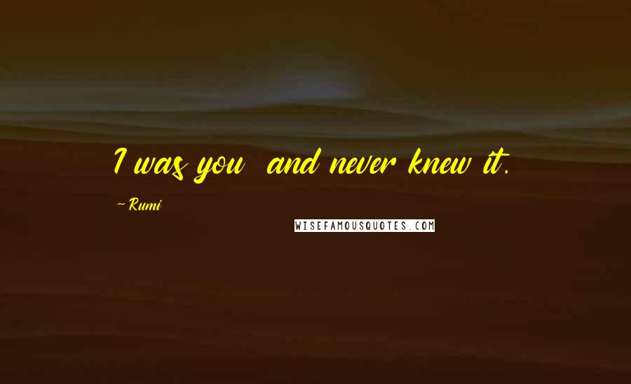 Rumi Quotes: I was you and never knew it.