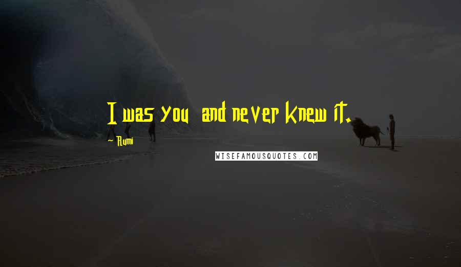 Rumi Quotes: I was you and never knew it.
