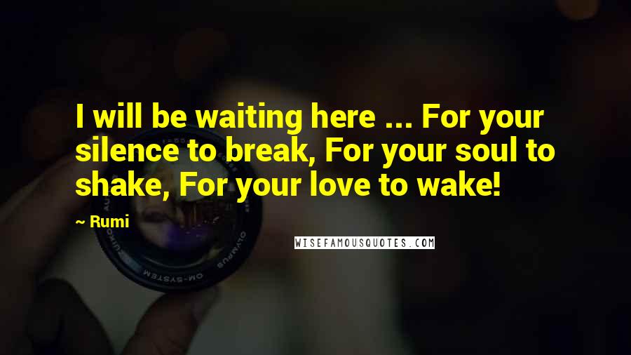 Rumi Quotes: I will be waiting here ... For your silence to break, For your soul to shake, For your love to wake!