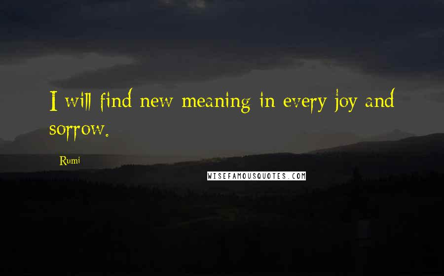 Rumi Quotes: I will find new meaning in every joy and sorrow.