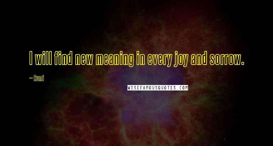 Rumi Quotes: I will find new meaning in every joy and sorrow.