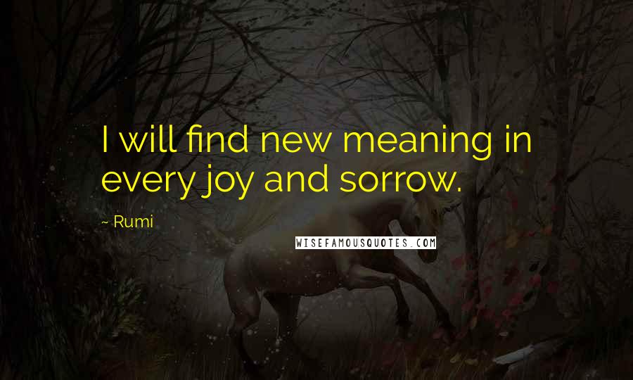 Rumi Quotes: I will find new meaning in every joy and sorrow.