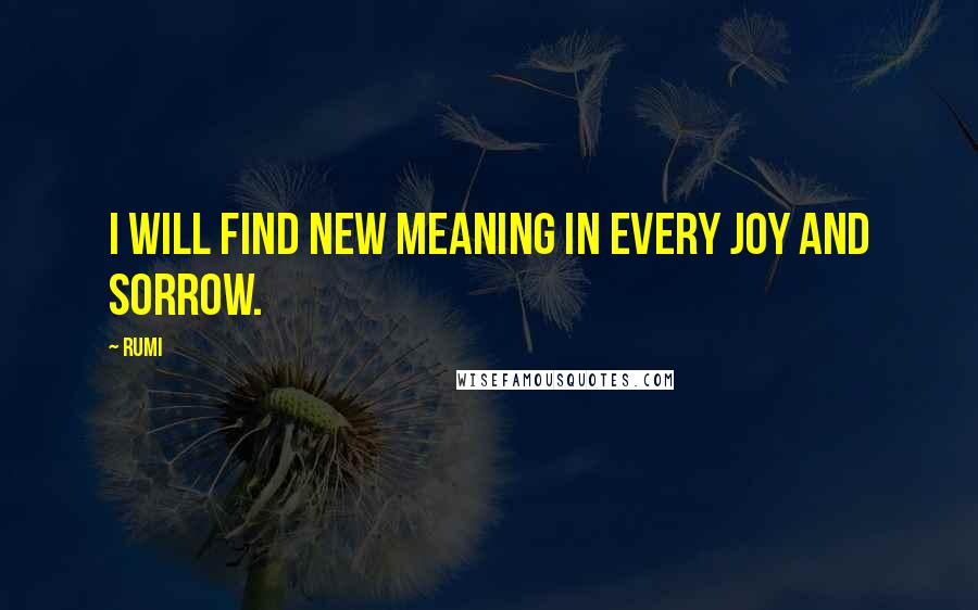 Rumi Quotes: I will find new meaning in every joy and sorrow.