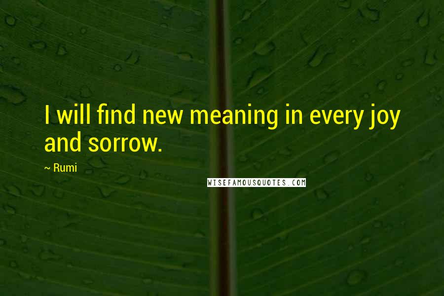 Rumi Quotes: I will find new meaning in every joy and sorrow.