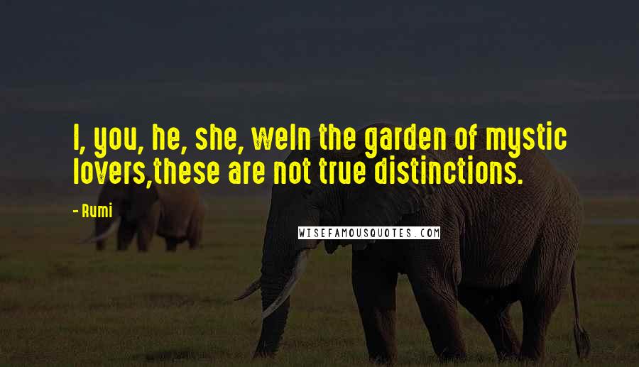 Rumi Quotes: I, you, he, she, weIn the garden of mystic lovers,these are not true distinctions.