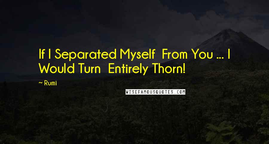 Rumi Quotes: If I Separated Myself  From You ... I Would Turn  Entirely Thorn!