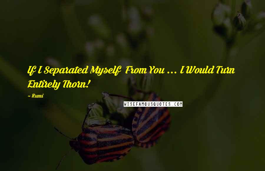 Rumi Quotes: If I Separated Myself  From You ... I Would Turn  Entirely Thorn!